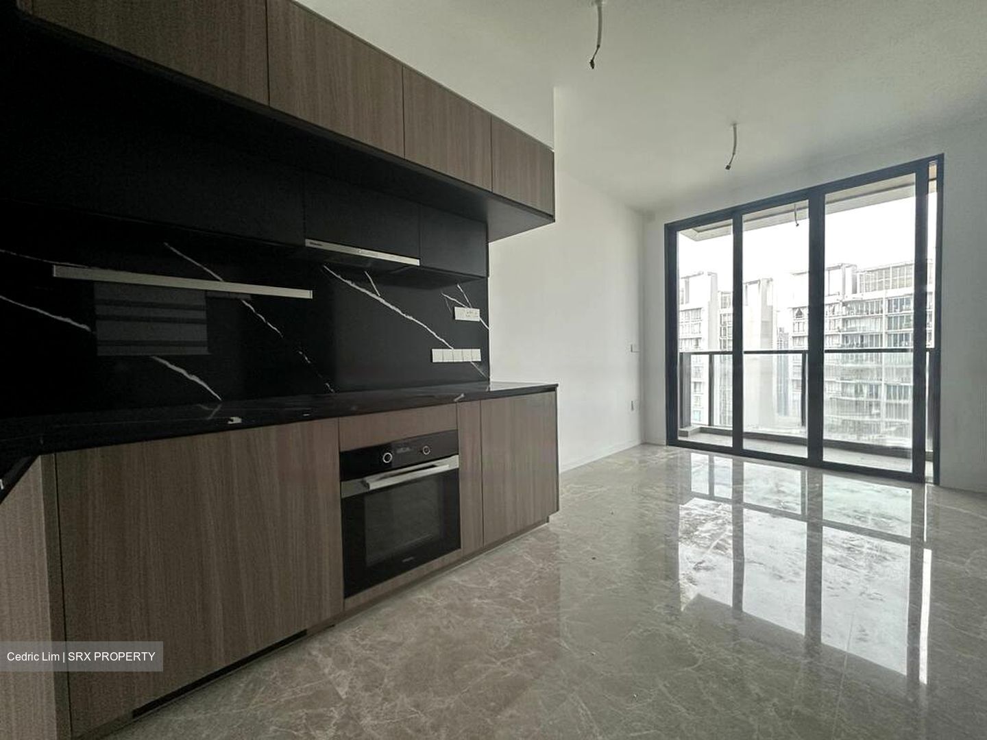 Irwell Hill Residences (D9), Apartment #466864041